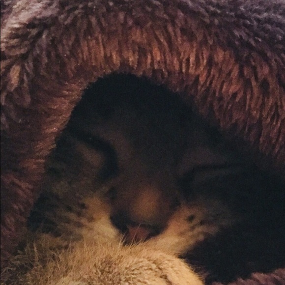 Meet your Posher, Patty - Picture 9 of 12